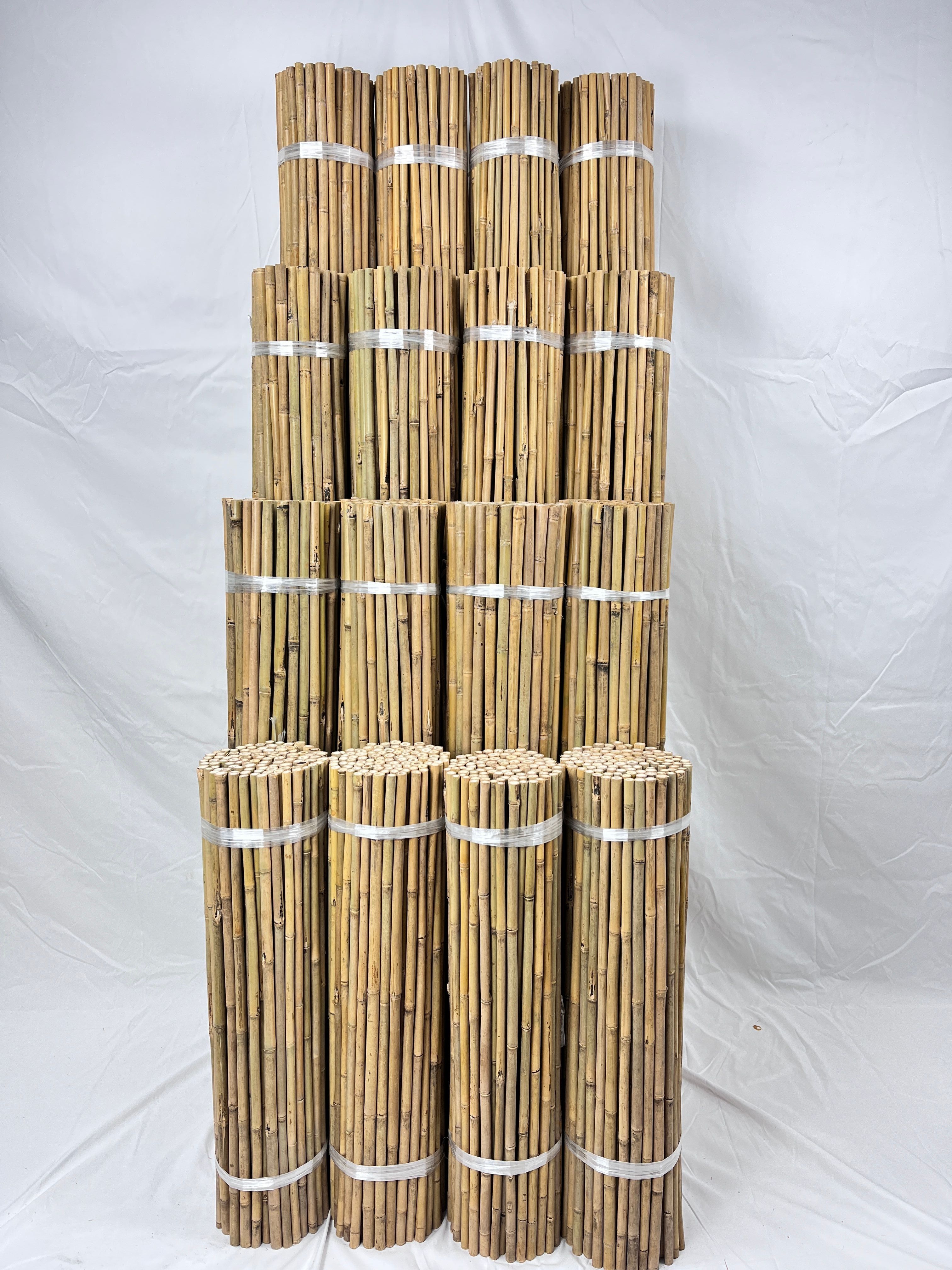 BAMBOOS 3 0e74e747da