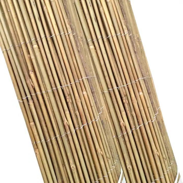 BAMBOOS 6 ab32002323