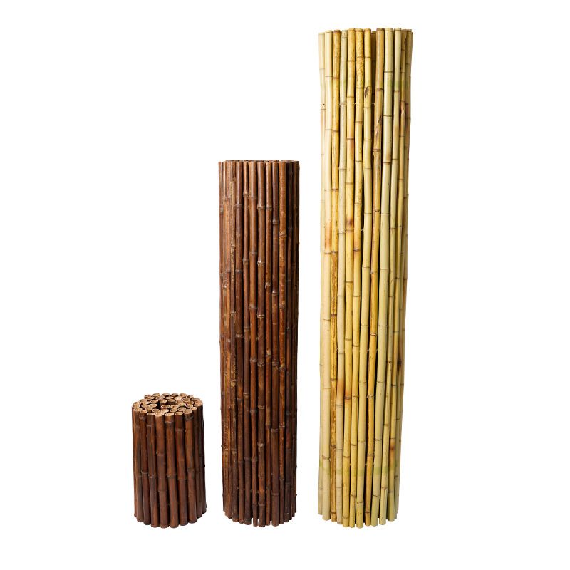 BAMBOOS 2
