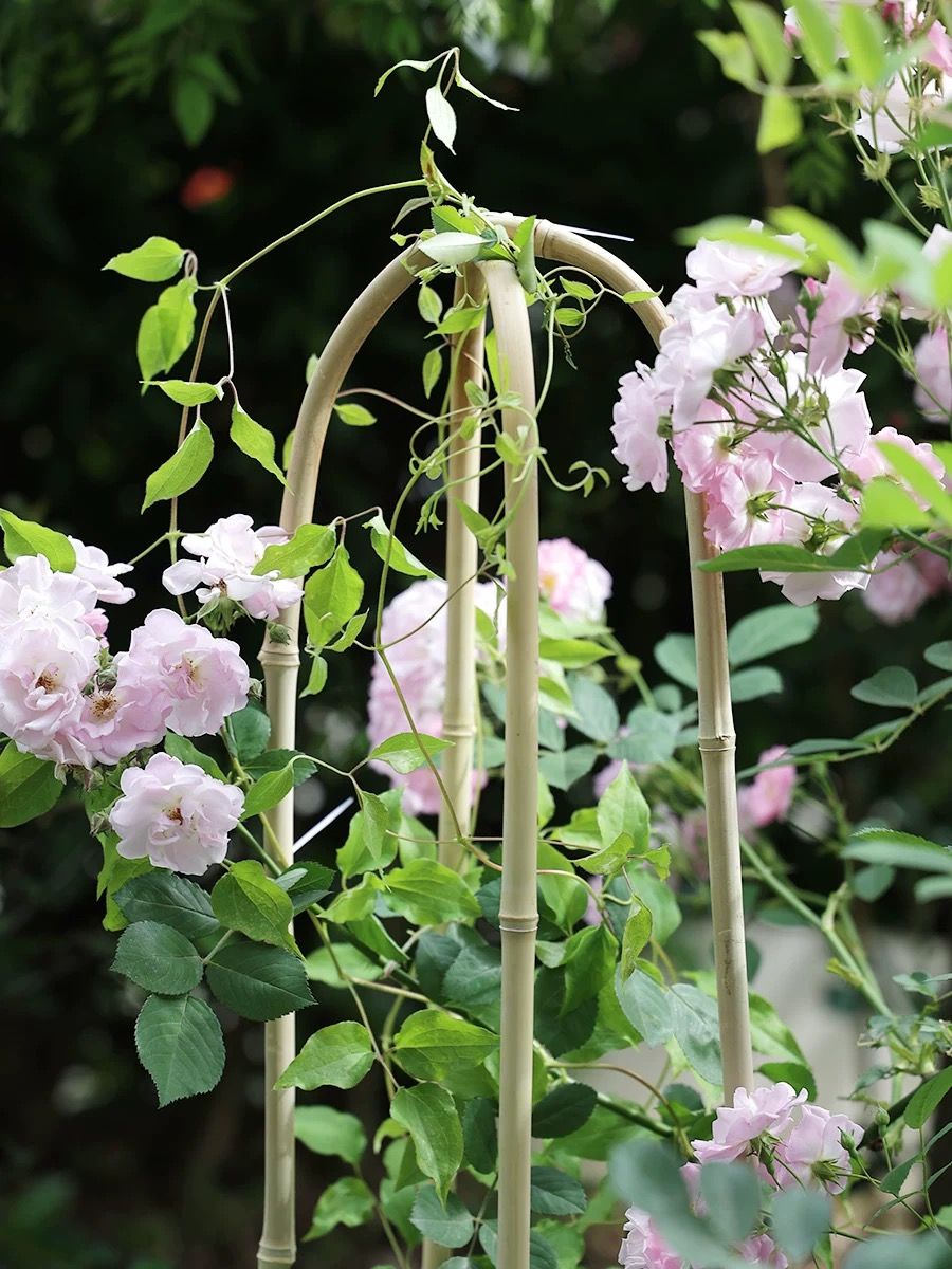 BAMBOO PRODUCTS 4
